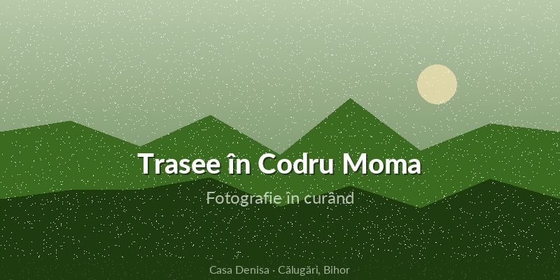 Ghid complet: Trasee montane în Munții Codru Moma