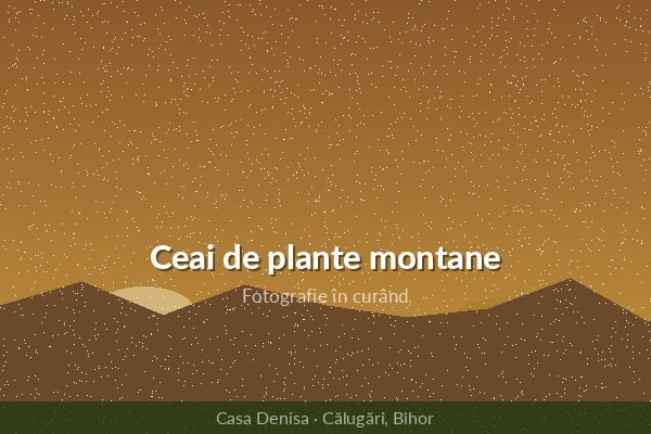 Ceai de plante montane — produs tradițional din Călugări, Bihor