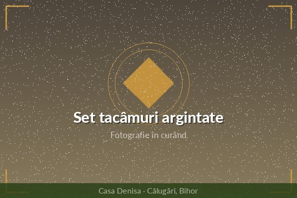 Set tacâmuri din oțel cu argintare — vechituri din Bihor
